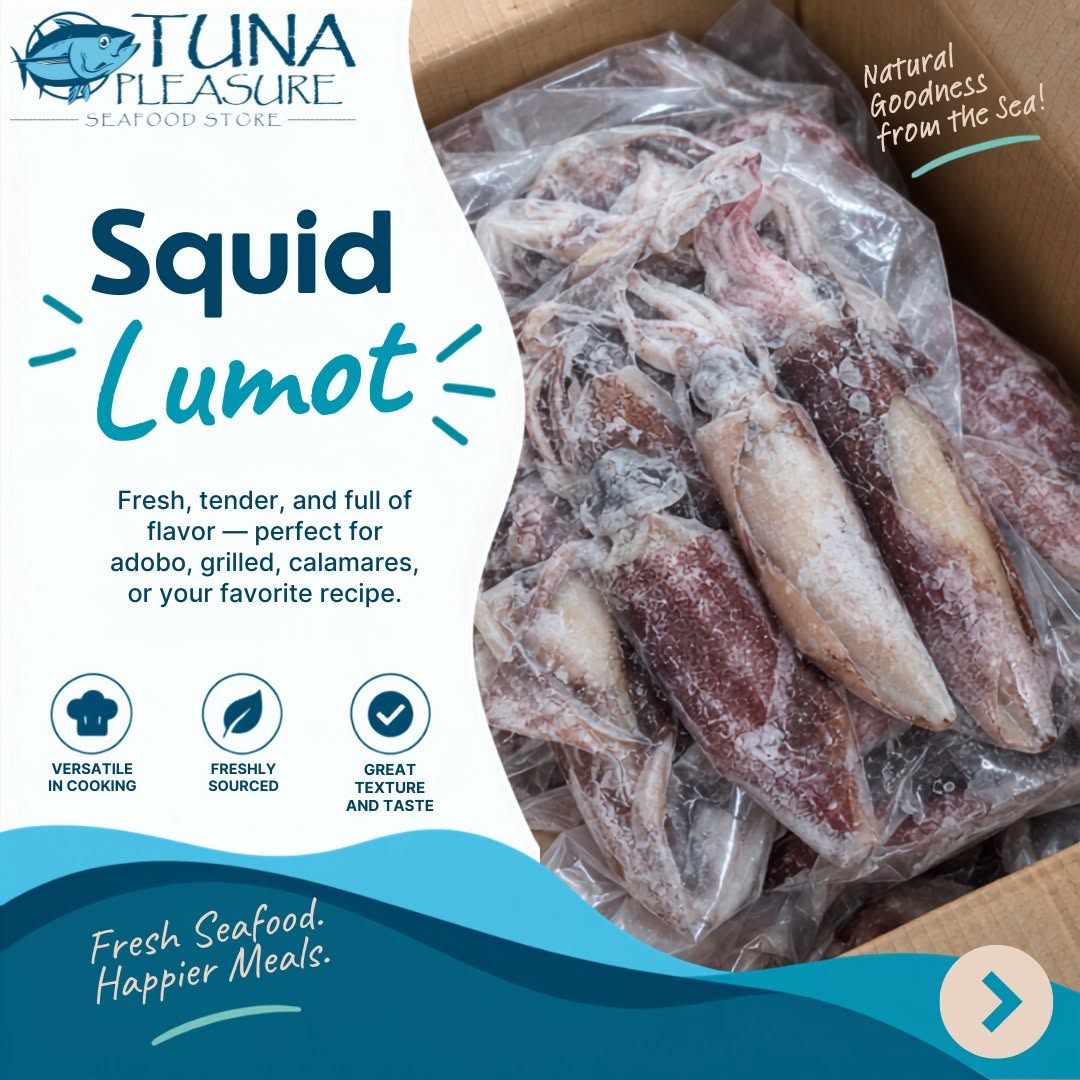 Squid